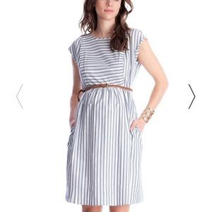 Seraphine Cotton Stripe Maternity/Nursing Dress